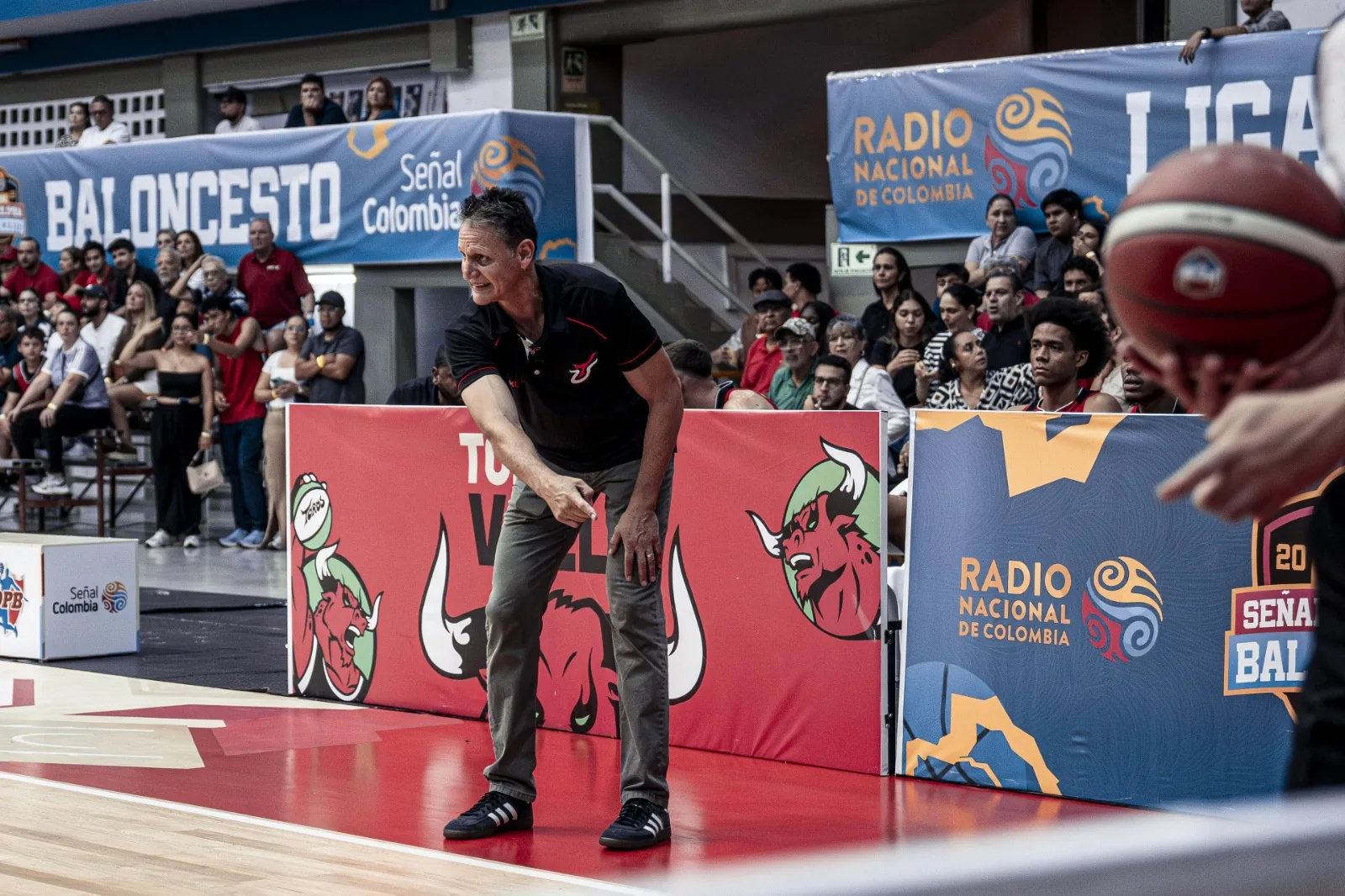 El entrenador Bernardo Fitz-Gonzalez observa de pie el juego a la orilla de la cancha del Coliseo Evangelista Mora