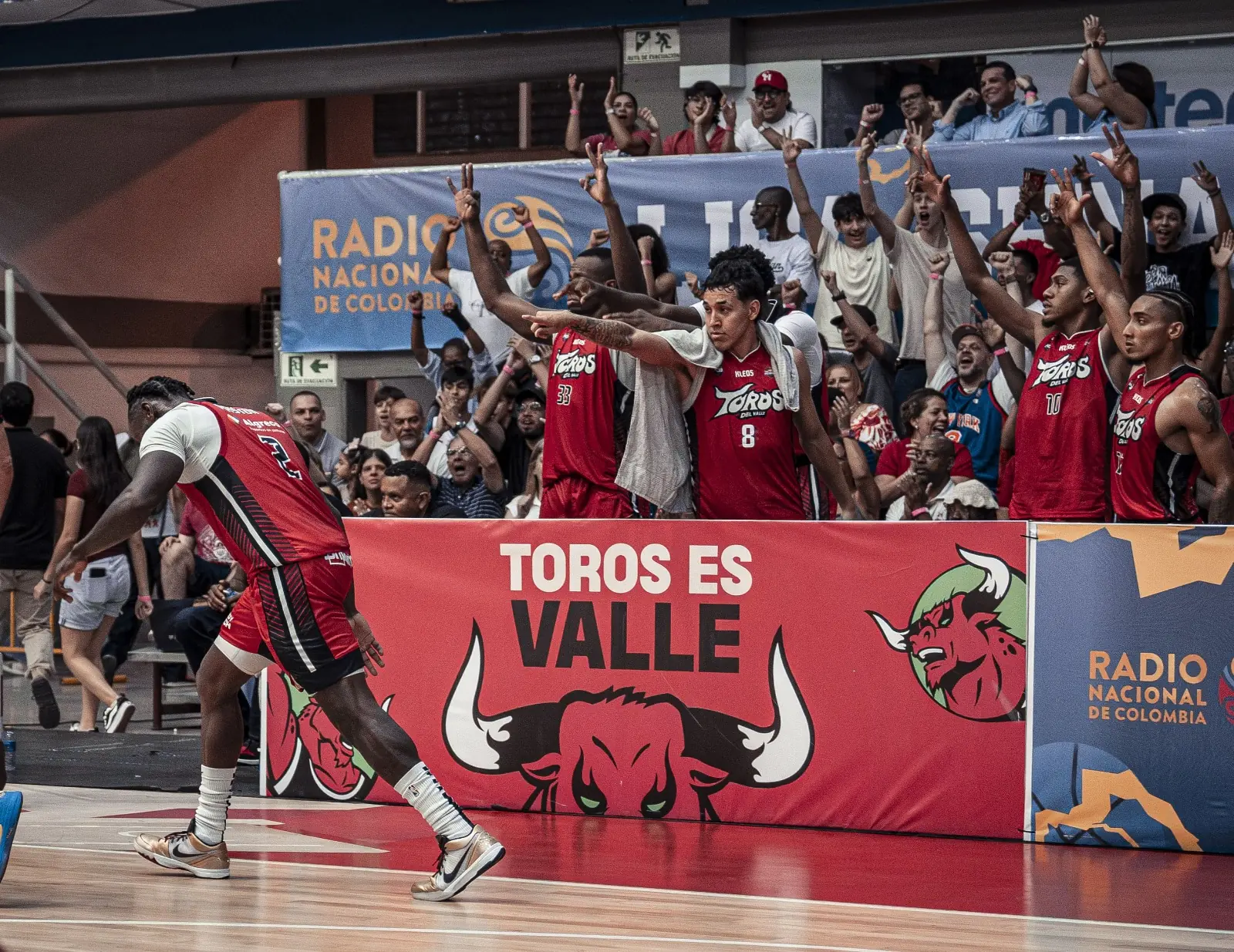 Jugadores de Toros del Valle celebran desde la banca frente a la valla Toros es Valle en el Coliseo Evangelista Mora